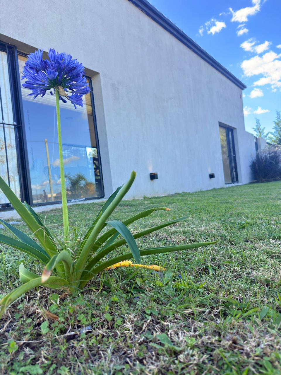 Aires de Lavanda - Exterior